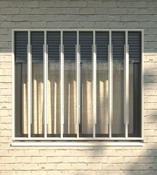 Reja fija Delhi